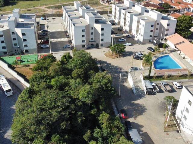 Venda em IPÊ - Pouso Alegre